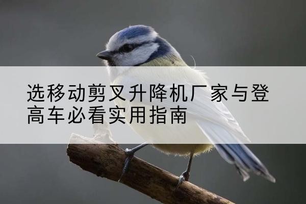 古蔺电动升降机厂家-选移动剪叉升降机厂家与登高车必看实用指南