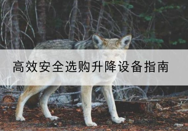 古蔺升降货梯厂家推荐-*安全选购升降设备指南